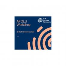 AFOLU Workshop